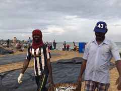 -尼甘布海鲜市场