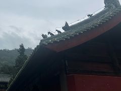 -报恩寺(平武县)