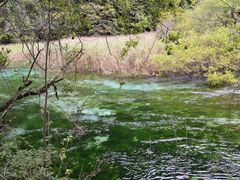 -九寨沟-树正沟