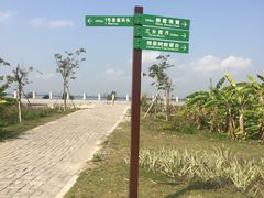 -芒洲湿地公园