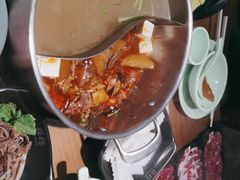 -掂档潮汕牛肉火锅(沈阳万象城店)