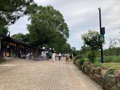 -虞山风景区