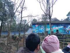 -中国大熊猫保护研究中心雅安碧峰峡基地