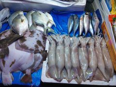 -三旗百汇商品城