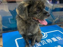 -芭比堂宠物医院·全科爱猫医院·仁德分院