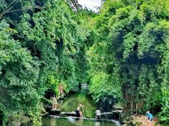 -重庆彩云湖湿地公园