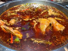 红锅锅底-蜀滋香鲜鱼美蛙火锅(339店)