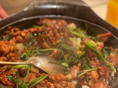 新疆大盘鸡-九毛九西北菜(百信广场店)
