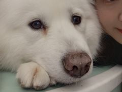 -怪兽屋·羊驼·猫咖·狗咖(俊华广场店)