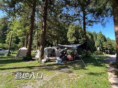-武陵山森林公园