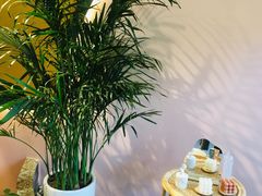 -茉莱·老挝冰咖啡·泰式奶茶(世茂国际广场店)