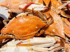 蒸汽海鲜-乔哥铭洋海鲜自助(皇城恒隆广场店)