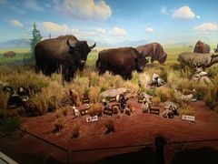 -陕西自然博物馆