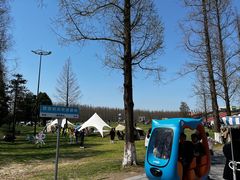 -黄海国家森林公园