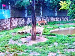 -西安秦岭野生动物园