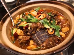 鸿运当头焖甲鱼-羡餐厅