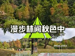 -云溪植物园