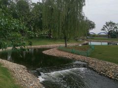 -咸阳湖景区-古渡公园