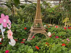 -南宫五洲植物乐园