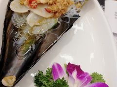 蒜泥粉丝蒸带子-必点海鲜·鲅鱼水饺(鞍山西道店)