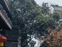 -台儿庄古城