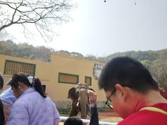 -无锡动物园·太湖欢乐园