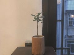 -知亘茶食