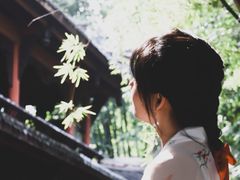 -望江楼公园