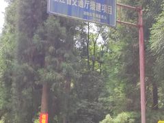 -武陵山森林公园