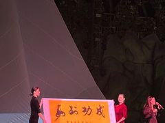 -灵玲国际马戏城