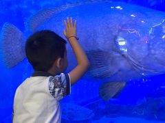 -成都浩海立方海洋公园
