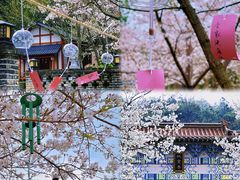 -庐山西海主景区