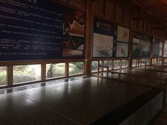 -山湖温泉