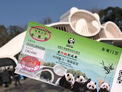 门票-成都大熊猫繁育研究基地