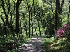 -南京老山国家森林公园