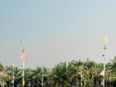 -欢乐海岸椰林沙滩-2025湾区超级灯会