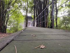 -鹿野苑石刻艺术博物馆