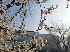 -北京明城墙遗址公园