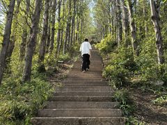 -东白山