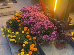 -漕河全驴宴饭店(徐水店)