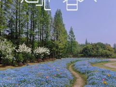 -上海滨江森林公园