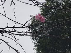 -昆明动物园