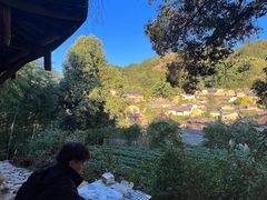 -杨家堂村