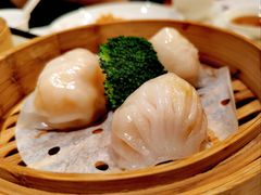 金牌虾饺皇-新雅粤菜馆(南京东路店)