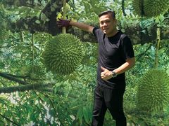 老板-都念榴莲·城市榴莲