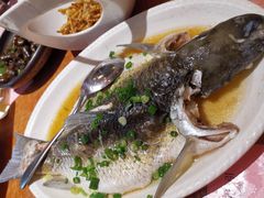 -园林美食城·本土农家菜(杨和镇店)