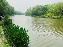 -新江湾城公园