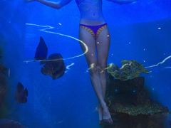 -瑞德姆美人鱼海底演艺主题餐厅(亚龙湾店)