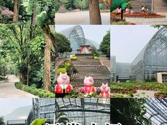 -南山植物园