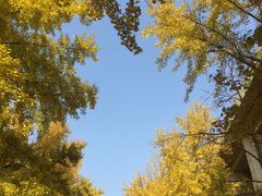 -北京化工大学(东校区)
